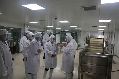 食安新篇 市南区食药监局开展食品生产企业公开评价体系检查活动的深度洞察